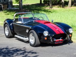 
										1966 Shelby Cobra full									